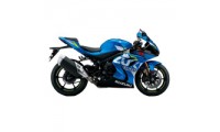 Carénage Suzuki GSXR 1000