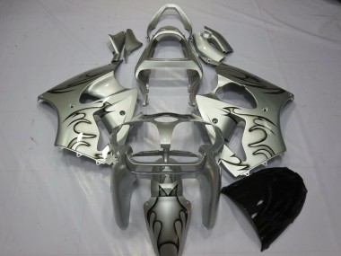 2000-2002 Argento Fiamma Kawasaki ZX6R Carénage Moto