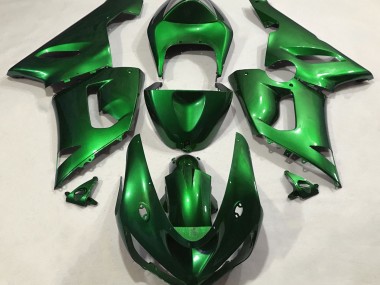 2005-2006 Vert Métallisé Kawasaki ZX6R Carénage Moto