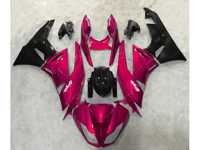 2009-2012 Rouge Vif Brillant Kawasaki ZX6R Carénage Moto 2009-2012 Rouge Vif Brillant Kawasaki ZX6R Carénage Moto
