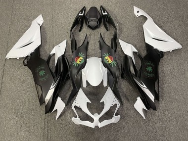 2019-2023 Faccia Felice Kawasaki ZX6R Carénage Moto