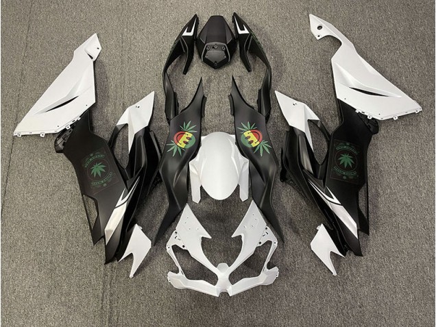 2019-2023 Faccia Felice Kawasaki ZX6R Carénage Moto 2019-2023 Faccia Felice Kawasaki ZX6R Carénage Moto