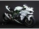 Carénages Moto Kawasaki Ninja H2 2015-2022 - Blanc Argent Vert