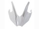 Carénages Moto Kawasaki Ninja H2 2015-2022 - Blanc Argent Vert