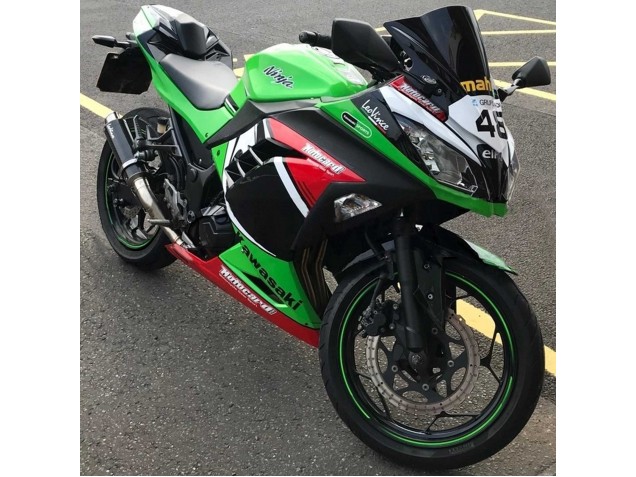 Carénages Moto Kawasaki EX300 2013-2024 - Vert Blanc Rouge Noir Elf