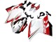 Carénages Moto Ducati 1199 2011-2014 - Blanc Rouge Vert Noir Brillant