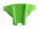 Carénages Moto Kawasaki ZX10R 2021-2025 - Vert Noir Rouge