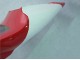 Carénages Moto Yamaha YZF 1000 R1 1998-1999 - Rouge Blanc Noir Dunlop