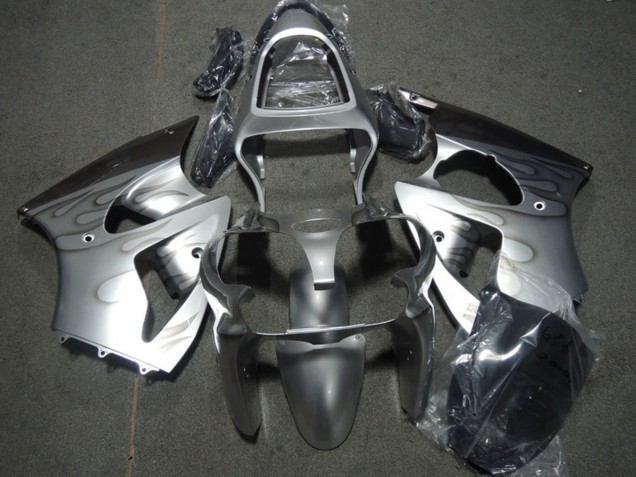 Carénages Moto Kawasaki ZX6R 2000-2002 - Argent Gris Flamme